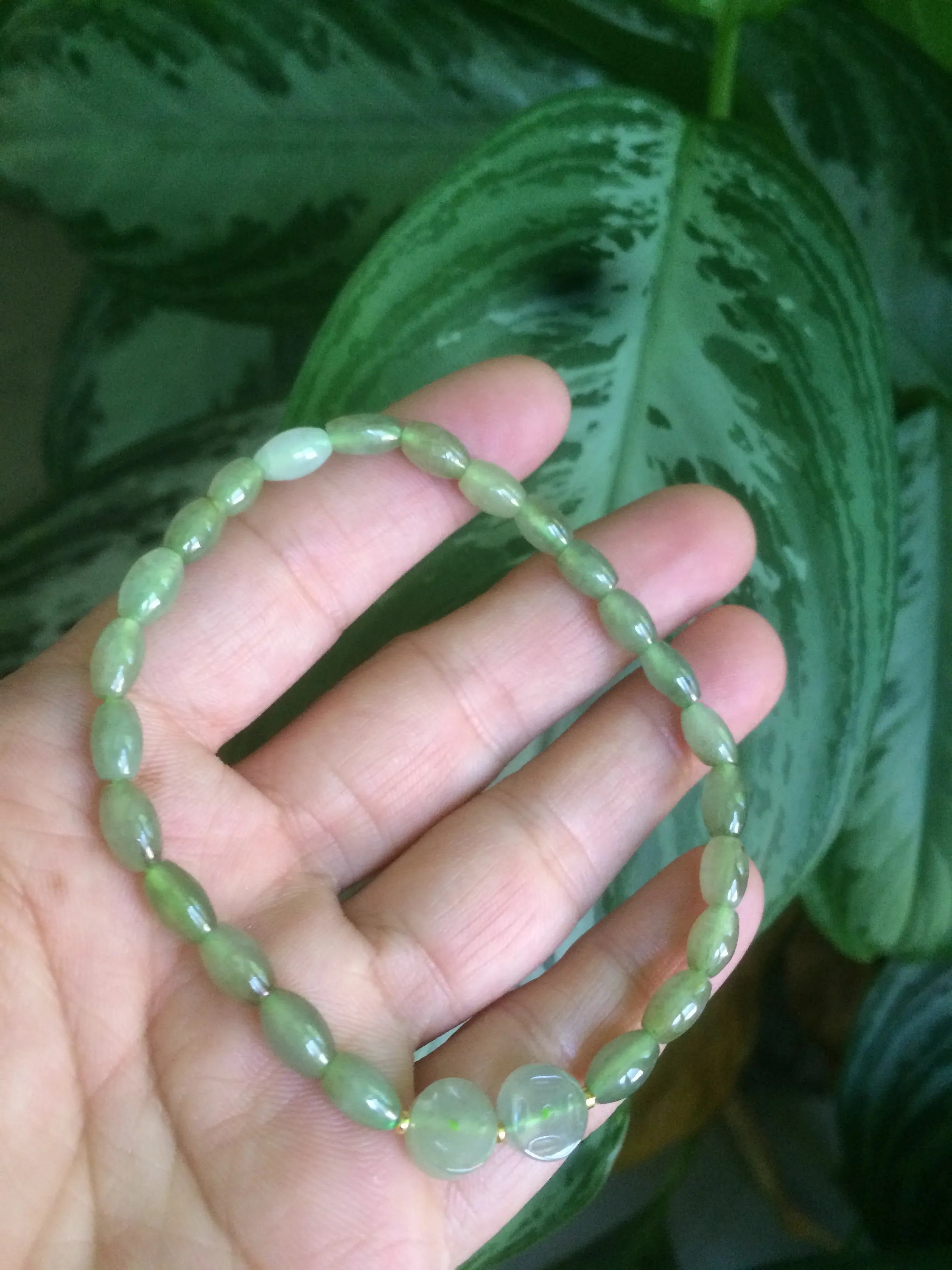 100% natural green/white Icy watery type A jadeite jade olive ancient Chinese coin/four-leaf clover bead bracelet  AS32