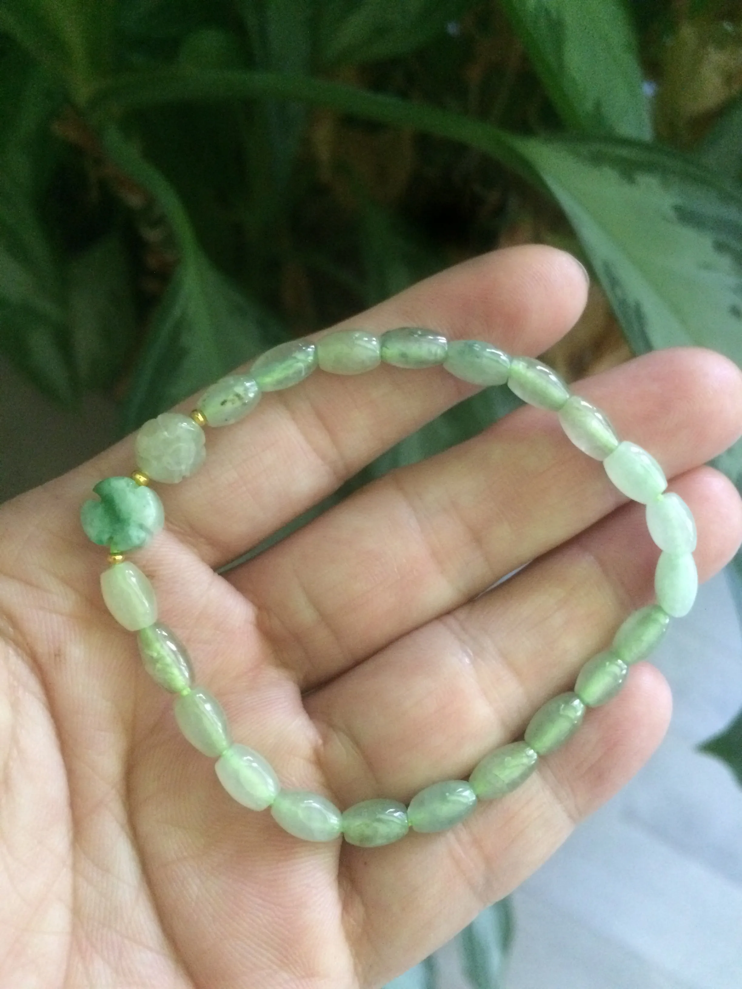 100% natural green/white Icy watery type A jadeite jade olive ancient Chinese coin/four-leaf clover bead bracelet  AS32