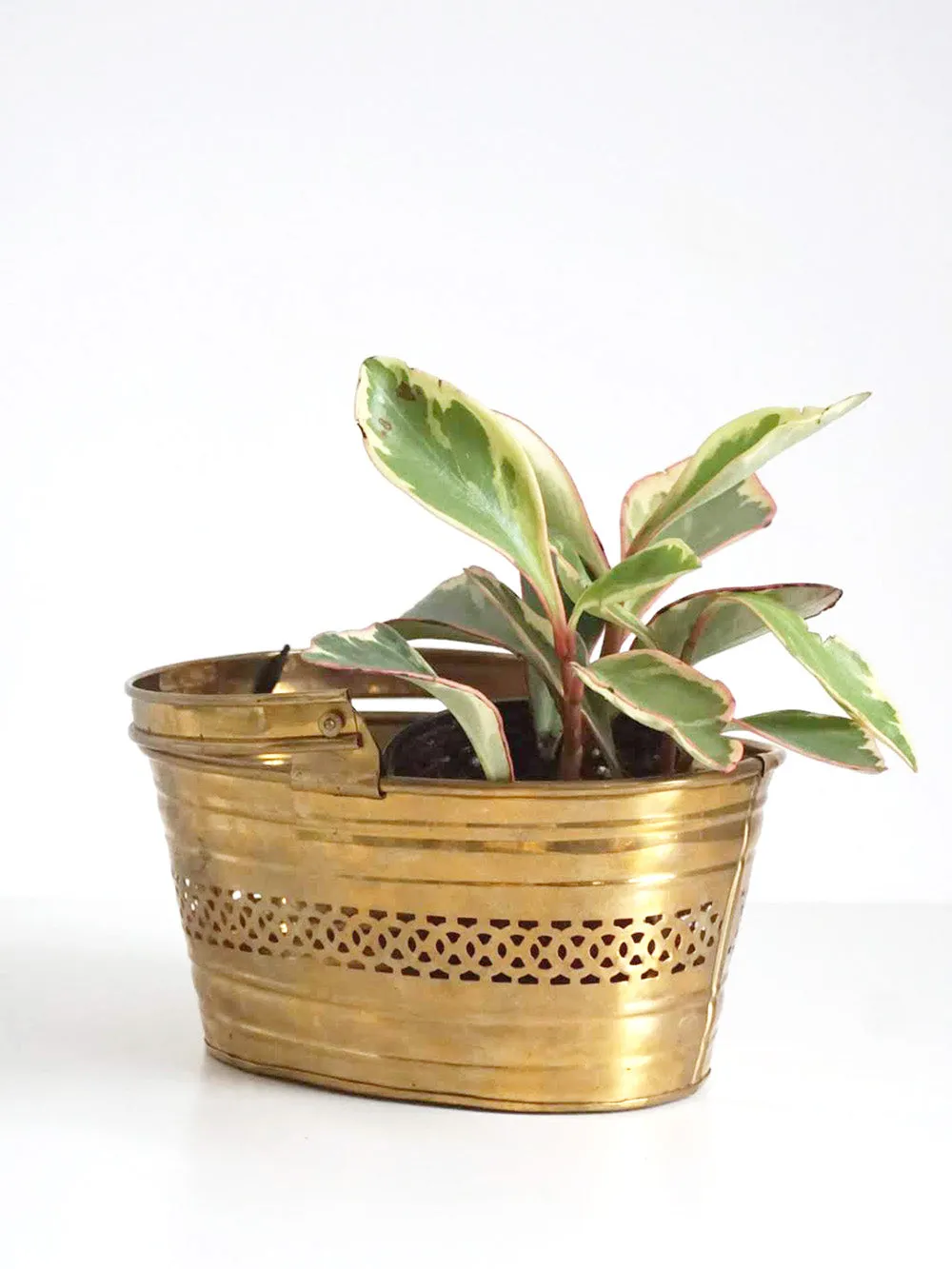 Brass Basket with Cutouts and Handle