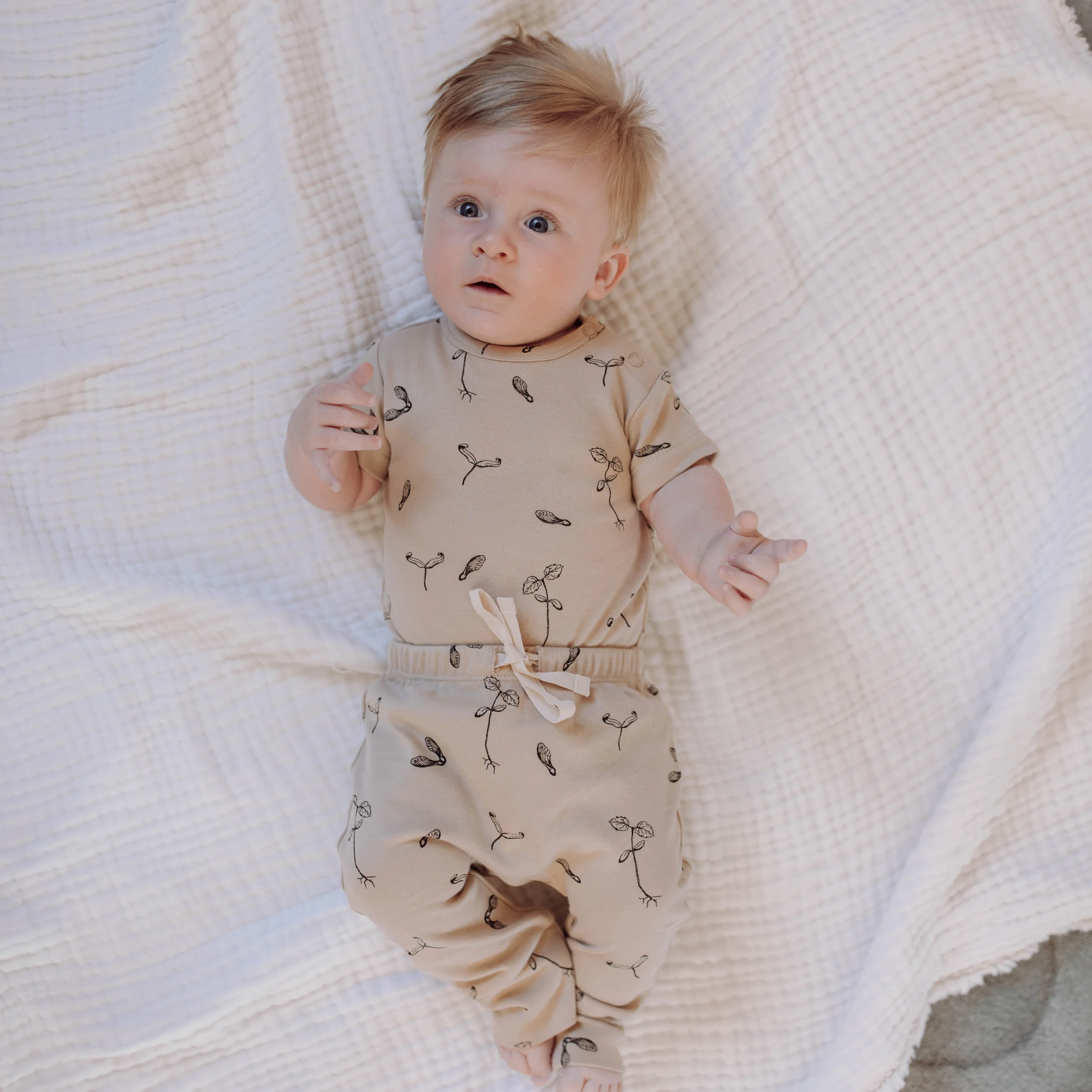 Buck & Baa  MAPLE  Bodysuit