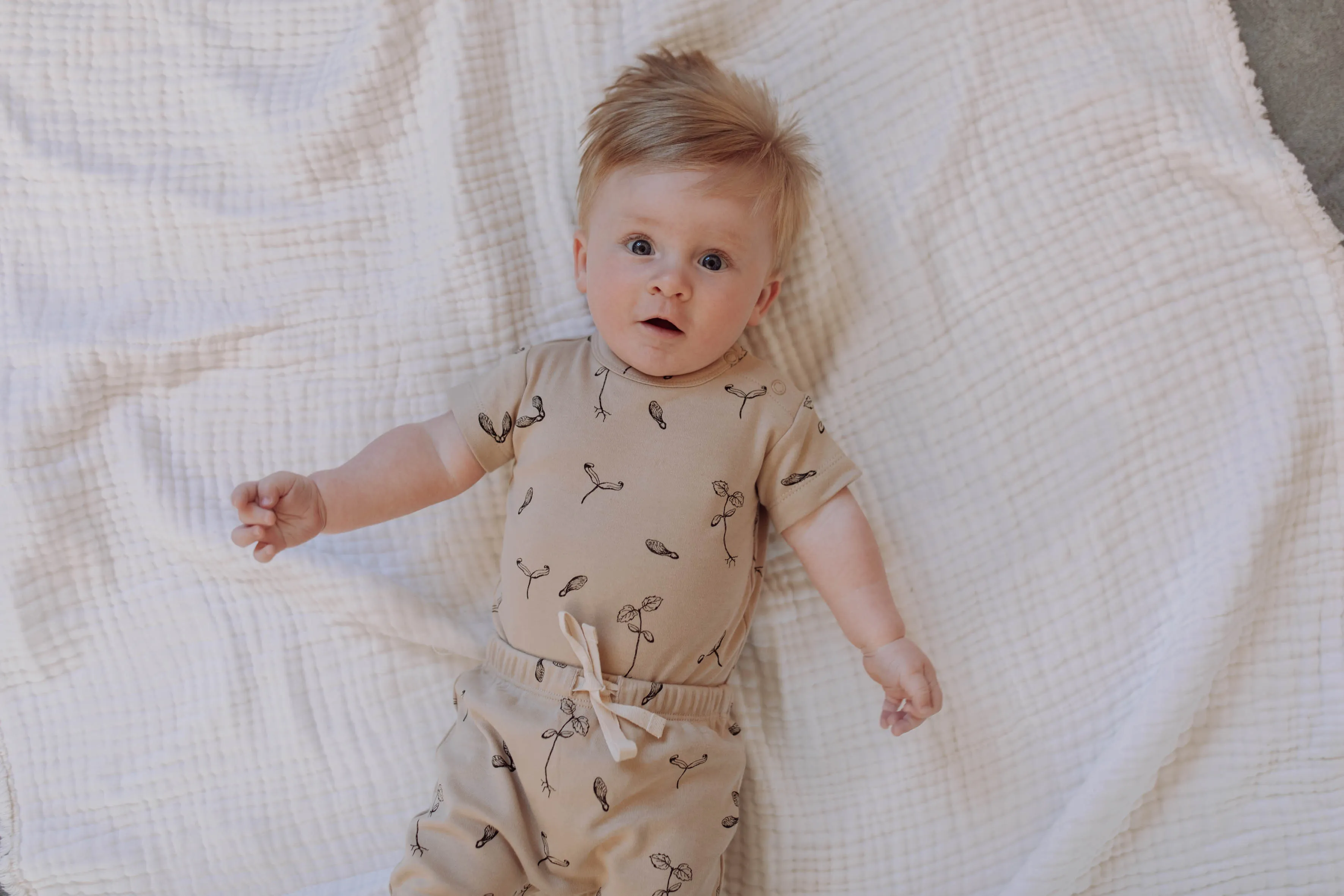 Buck & Baa  MAPLE  Bodysuit