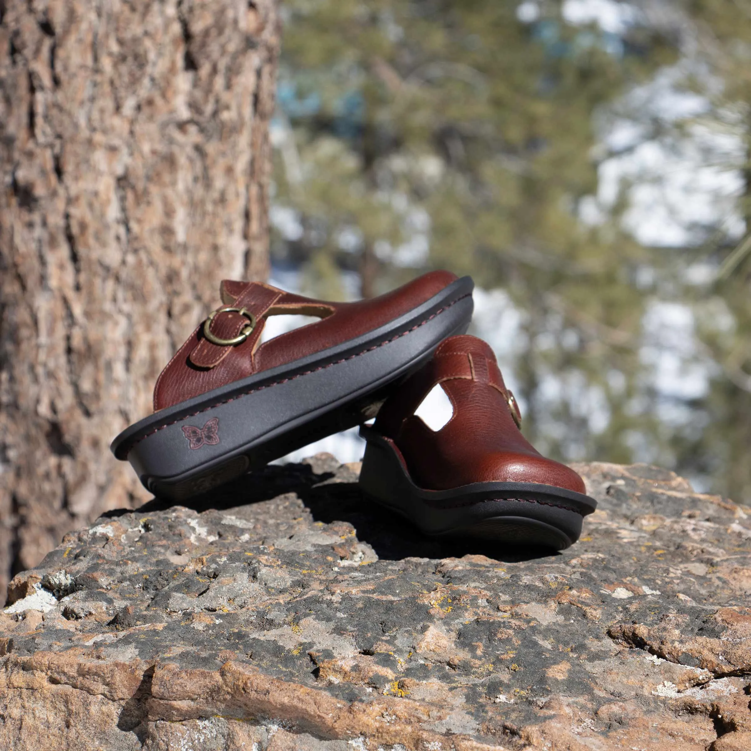 Classic Chestnut Shoe