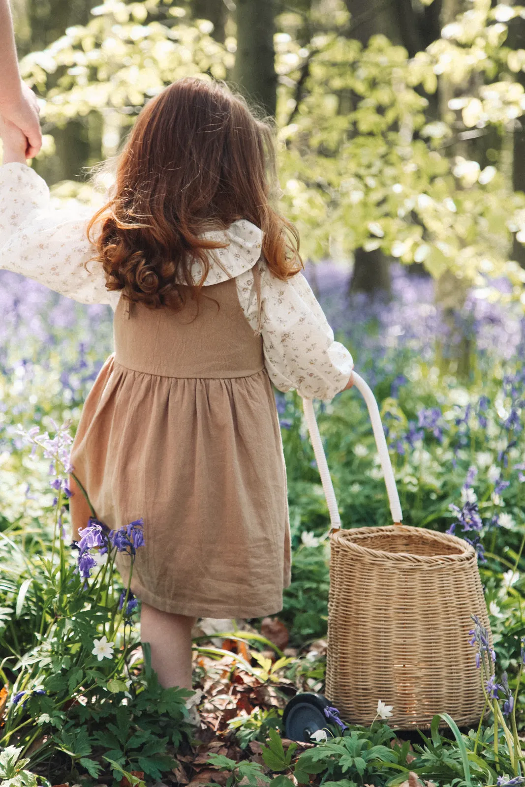 Cream/Beige Floral Frill Collar Blouse