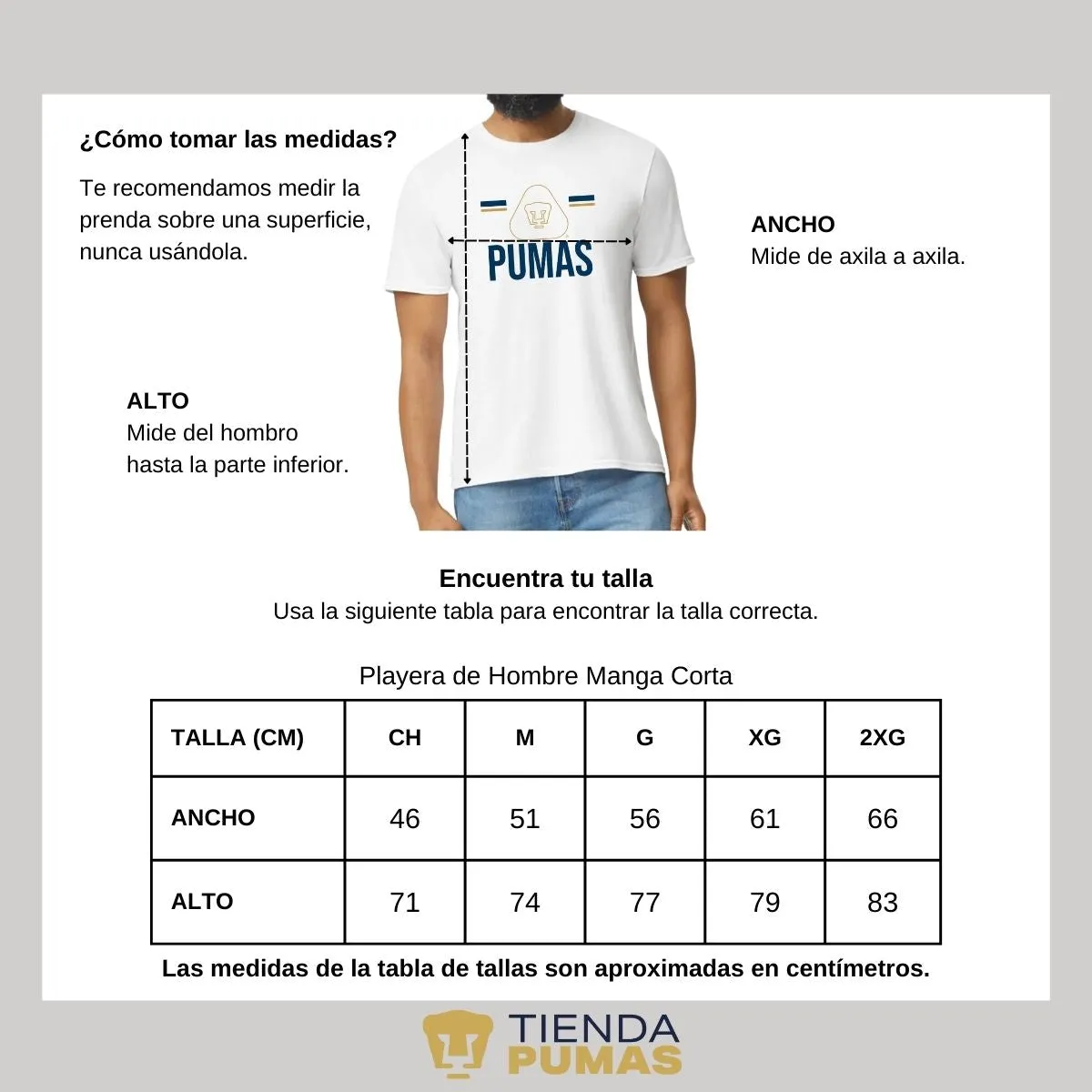 Playera Hombre Pumas UNAM Insignia